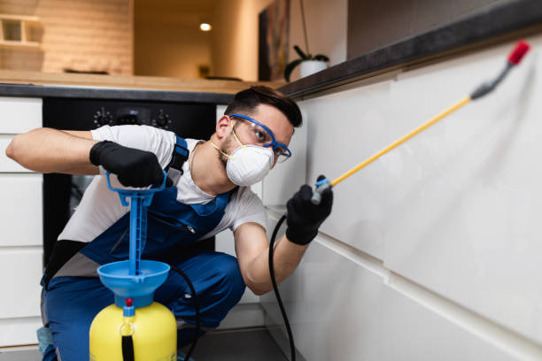 Pest Control for Restaurants in Alvin, TX