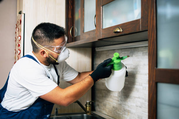 Best Pest Control for Businesses  in Alvin, TX