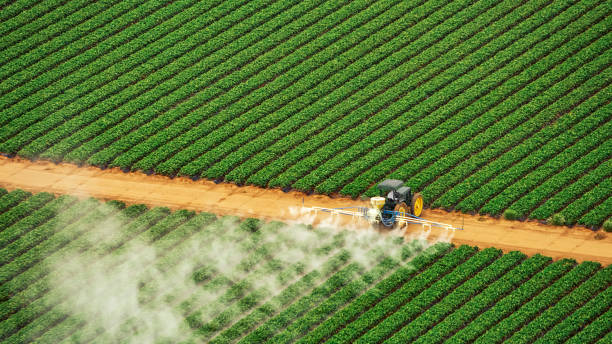 Best Mosquito Control Services  in Alvin, TX
