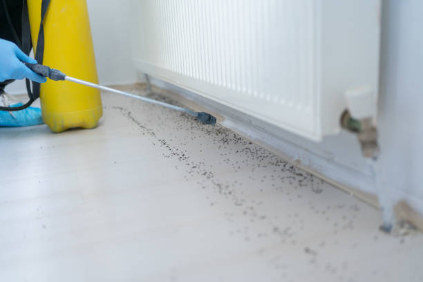 Best Commercial Pest Control Services  in Alvin, TX