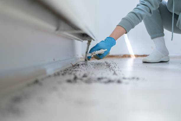 Best Bed Bug Extermination  in Alvin, TX